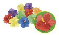 Set Flower hawaii